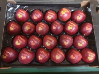 Venderé de la cámara frigorífica KA+Smart Fresh, manzanas con
