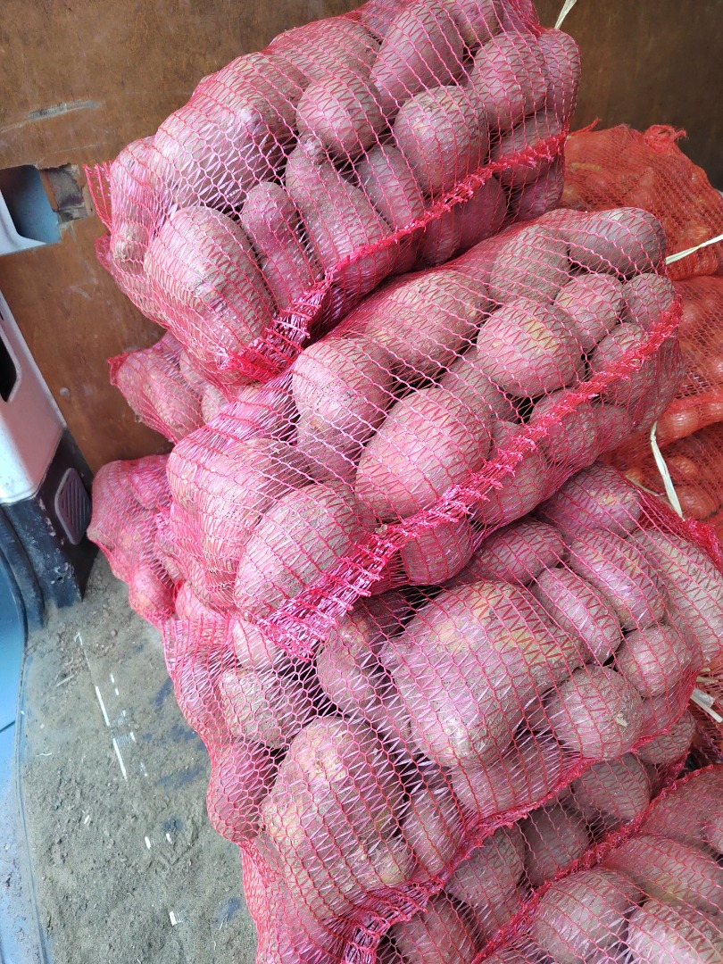Patatas en sacos de 10 kilos, 60 dinares..