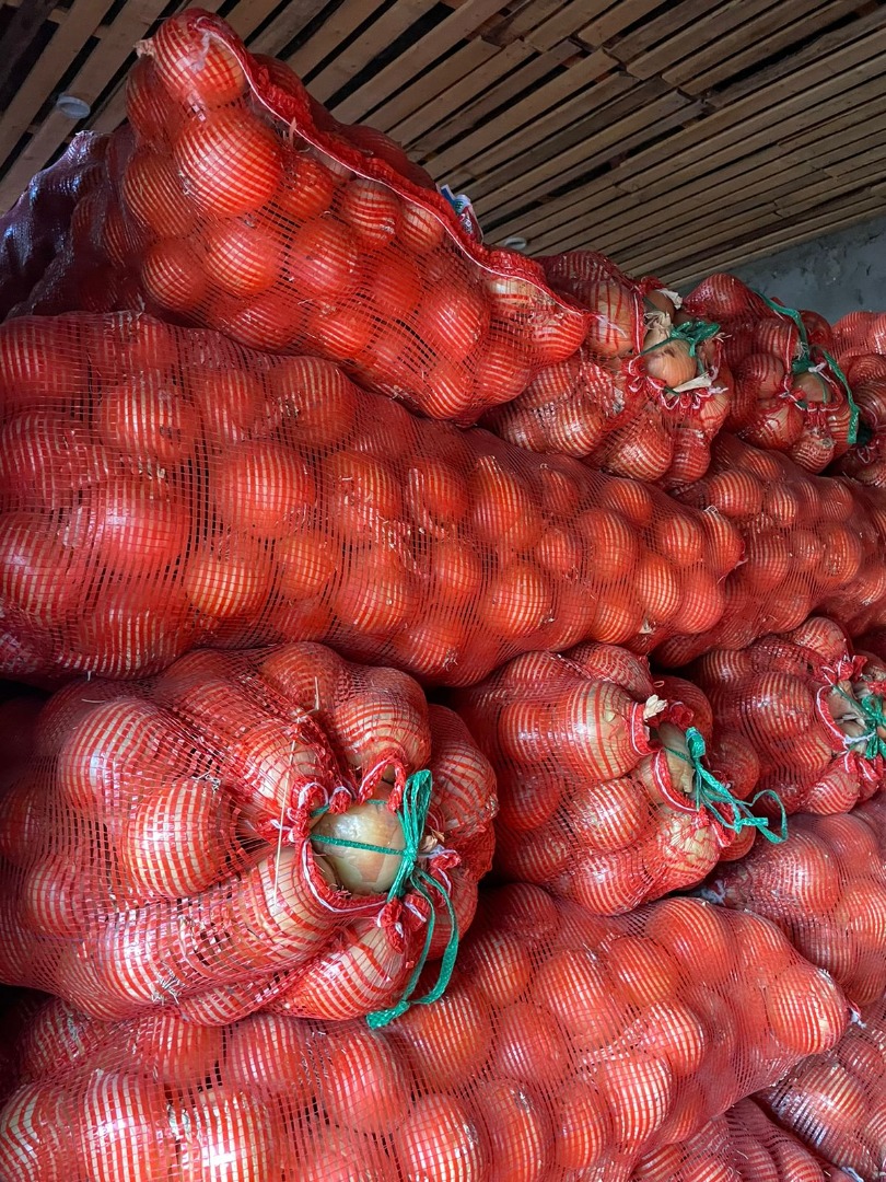 Cebolla de bulbo al por mayor del fabricante