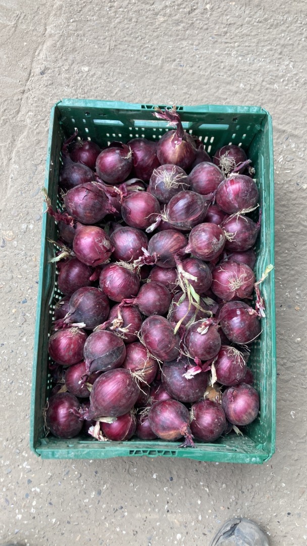 Tengo unas 300 toneladas de cebolla morada, calibre 4+ Big-bag o empaque a granel