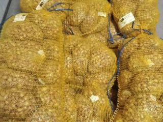 Soy productor y vendo cebolletas de las variedades Stuttgarter,