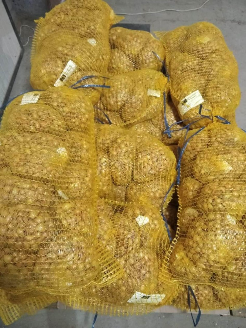 Soy productor y vendo cebolletas de las variedades Stuttgarter, Wolska y Karmen