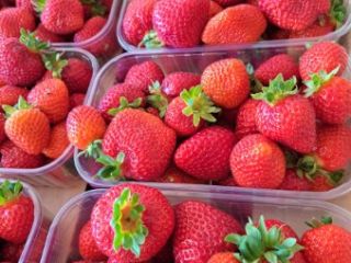 Fresa de postre disponible desde finales de mayo hasta