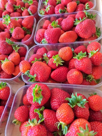 Fresa de postre disponible desde finales de mayo hasta noviembre