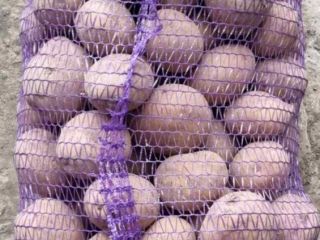 la empresa ucraniana vende papas hay una variedad de