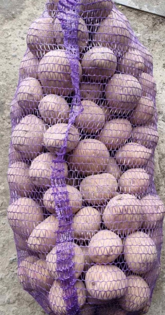 la empresa ucraniana vende papas hay una variedad de gran volumen variedad Sifra precio es de Ucrania