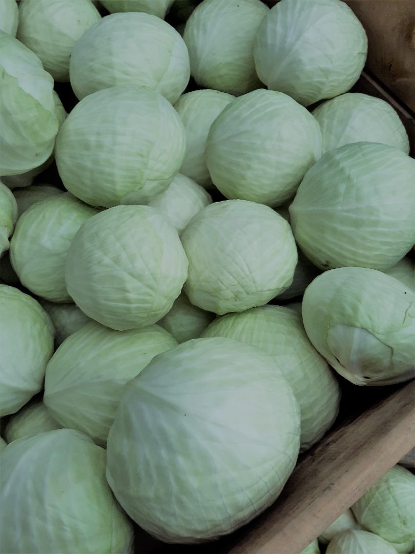Hola vendo repollo blanco mercado 1-4 kg cantidades camion