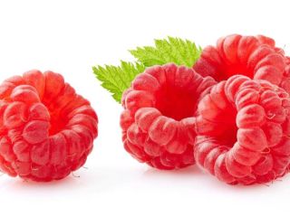 Hola, somos un productor de frambuesas de postre de