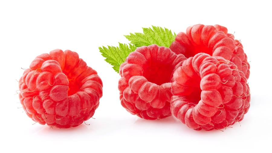 Hola, somos un productor de frambuesas de postre de las variedades Kwanza y Enrosadira, calidad de mercado, envasadas en cualquier empaque