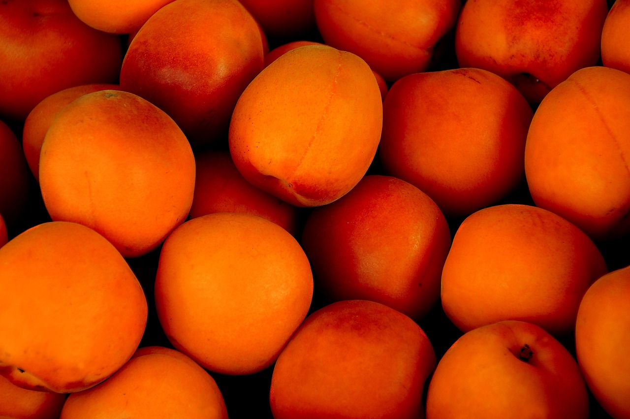 Uno de los principales productores de albaricoques, cerezas, melocotones, kiwis y nectarinas de Grecia