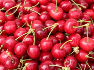 Uno de los principales productores de cerezas, melocotones, kiwi,