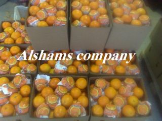 Ofrecemos naranja fresca con las siguientes especificaciones: Naranja Navel:
