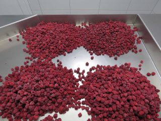 Venderé frambuesas congeladas 95/5. Envase (2,5 kg x 4)