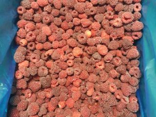 Ofrecemos frambuesas congeladas, envasadas en cartón de 12 kg