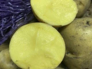 Vendo patatas de consumo en grandes cantidades a precios