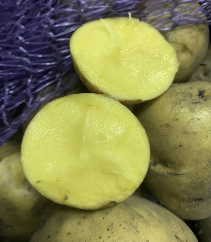 Vendo patatas de consumo en grandes cantidades a precios de mayorista