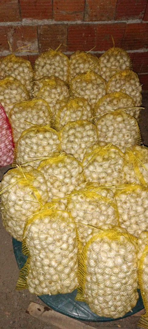 Primavera de ajo casero