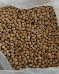 ESPECIFICACIONES: Tipo de producto: Garbanzos Material extraño: 0,2 % máx