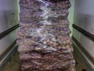 Tengo a la venta 440 bolsas de bellaroza a