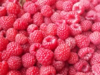 Frambuesa Bio Organic (la frambuesa tiene un certificado de