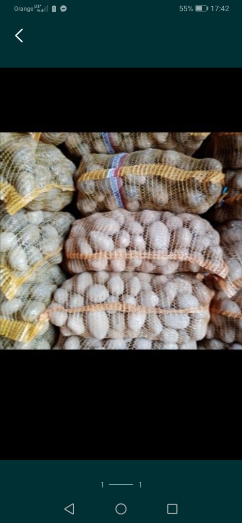 Patatas a la venta, variedad Bellarosa, Jurek, Satina Comestible, semilla, forraje Precio de 0,50 PLN a 1,20 PLN Clasificadas a mano
