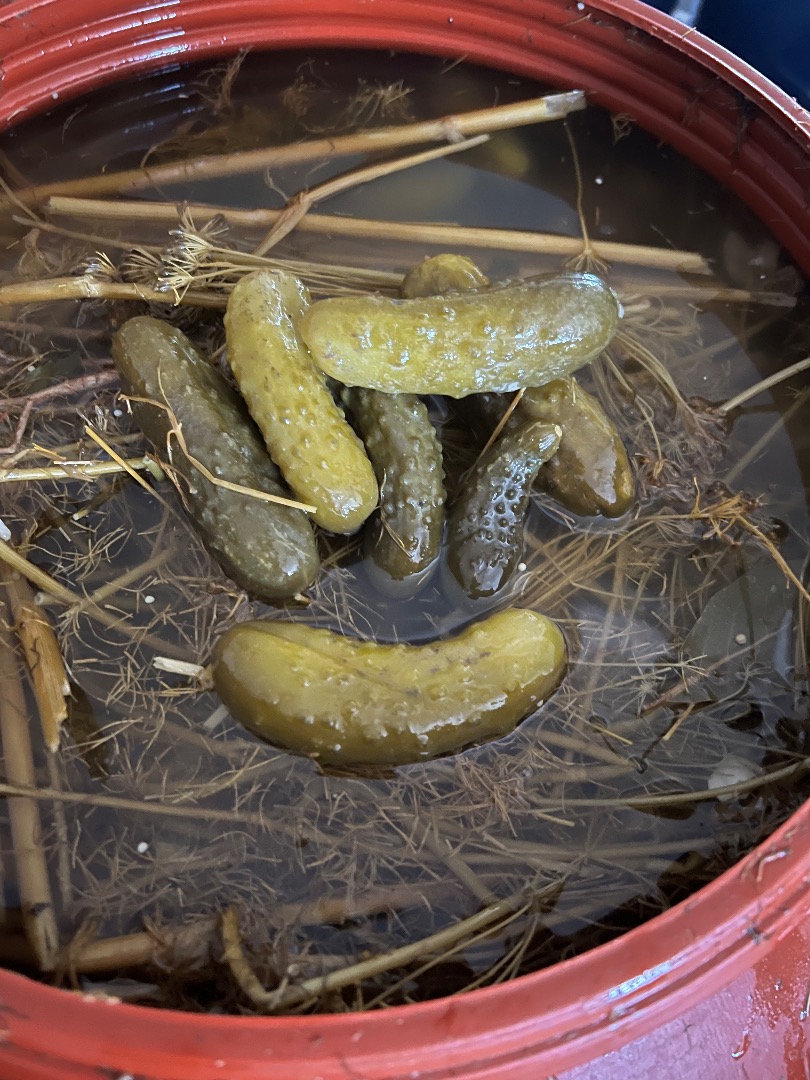 Pepinillos en vinagre
