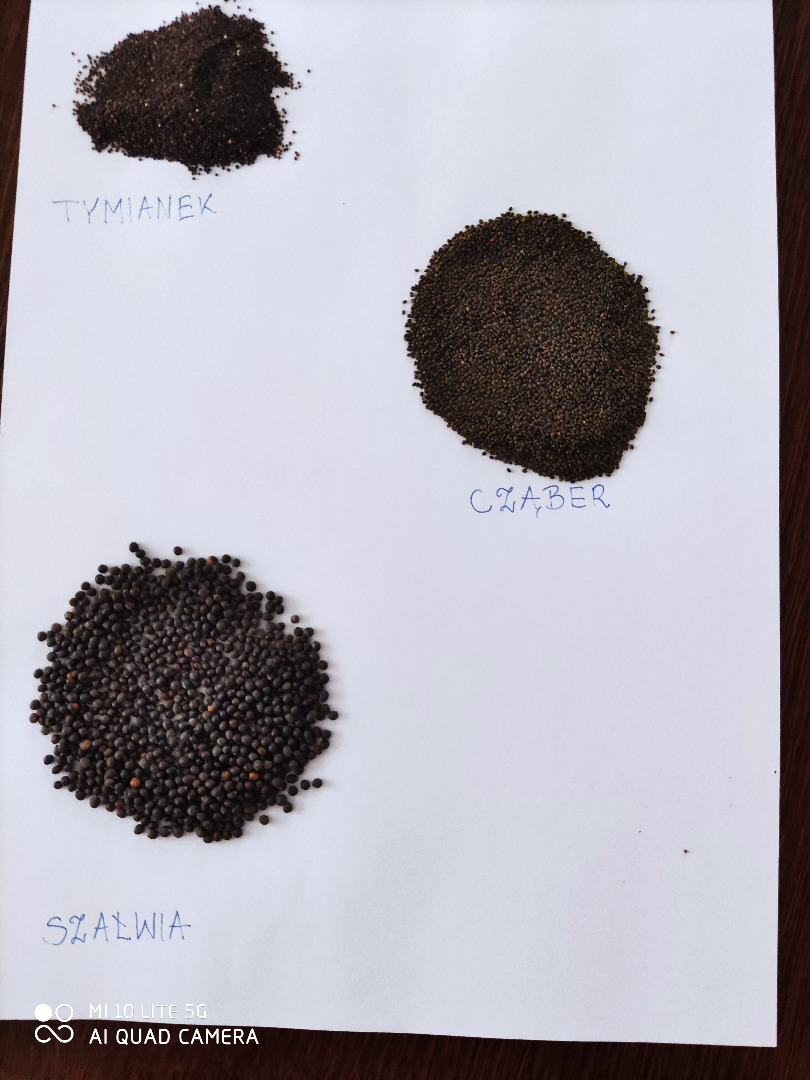 Vendo semillas de tomillo, salvia, ajedrea, melisa.También tengo hierbas como tomillo, salvia, melisa, orégano, menta, ajedrea y tallos de estas hierbas