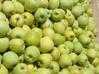 Estableceré una cooperación con el destinatario de las manzanas