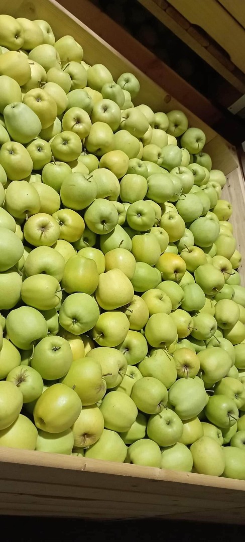 Estableceré una cooperación con el destinatario de las manzanas de Polonia (Sandomierz)