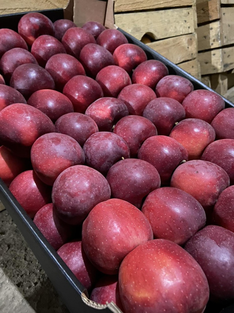 Estamos vendiendo manzanas en toda Europa