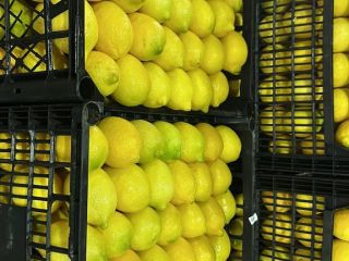 ¡VENDERÉ UN LIMÓN! CANTIDADES DE TIRS Clase I Calibre: