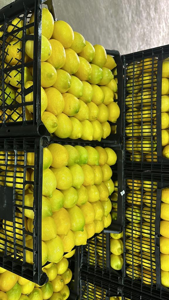 ¡VENDERÉ UN LIMÓN! CANTIDADES DE TIRS Clase I Calibre: 3 / 4 Variedad: Lamas Envasado 10 kg en cajas de plástico