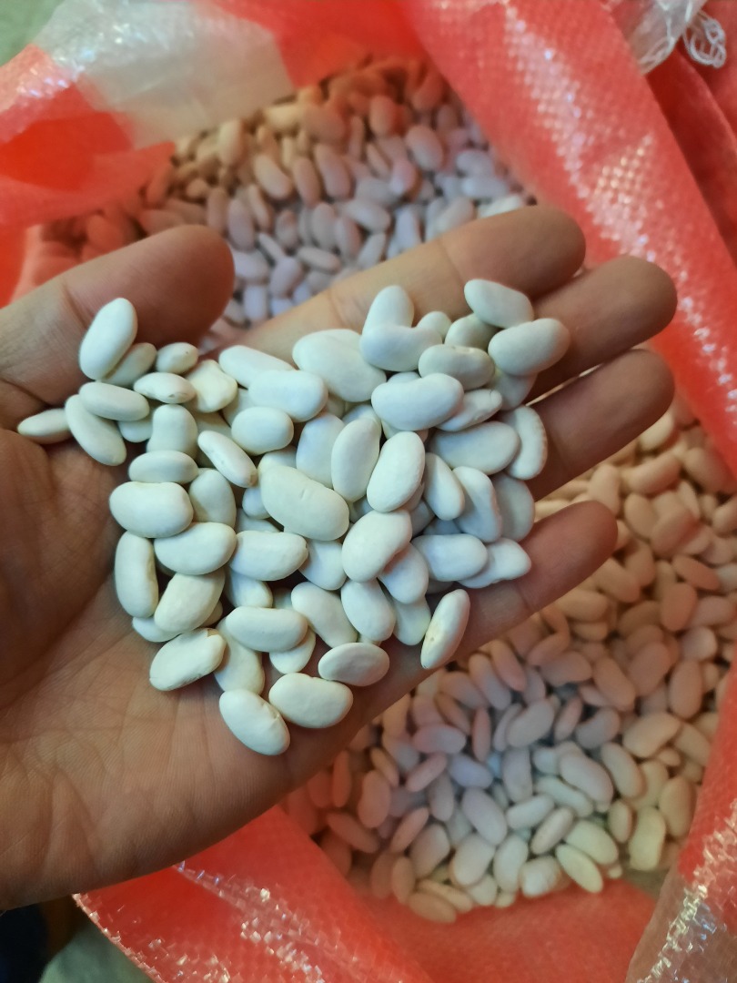 frijoles blancos y rojos 1