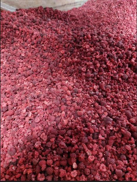 Hola, tengo a la venta un muy buen sémola de frambuesa congelada (un montón de piezas enteras de fruta)