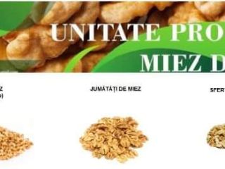 La unidad de procesamiento de nuez de nuez le