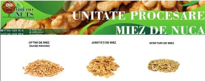 La unidad de procesamiento de nuez de nuez le ofrece nuez de calidad, procesada mecánicamente, envasada en una caja de cartón de 10 kg, recolectada