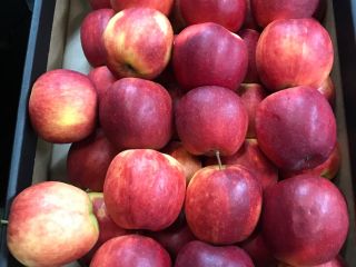 Vendo manzanas de la variedad Szampion Prince golden jonagored