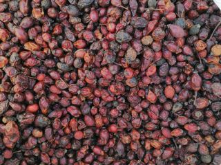 Vendo fruto de rosa mosqueta, cascarilla de rosa mosqueta,