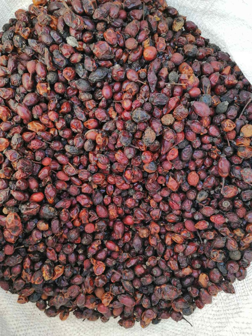 Vendo fruto de rosa mosqueta, cascarilla de rosa mosqueta, semilla de rosa mosqueta, fraccion de rosa mosqueta y una mezcla de cascarilla y semilla