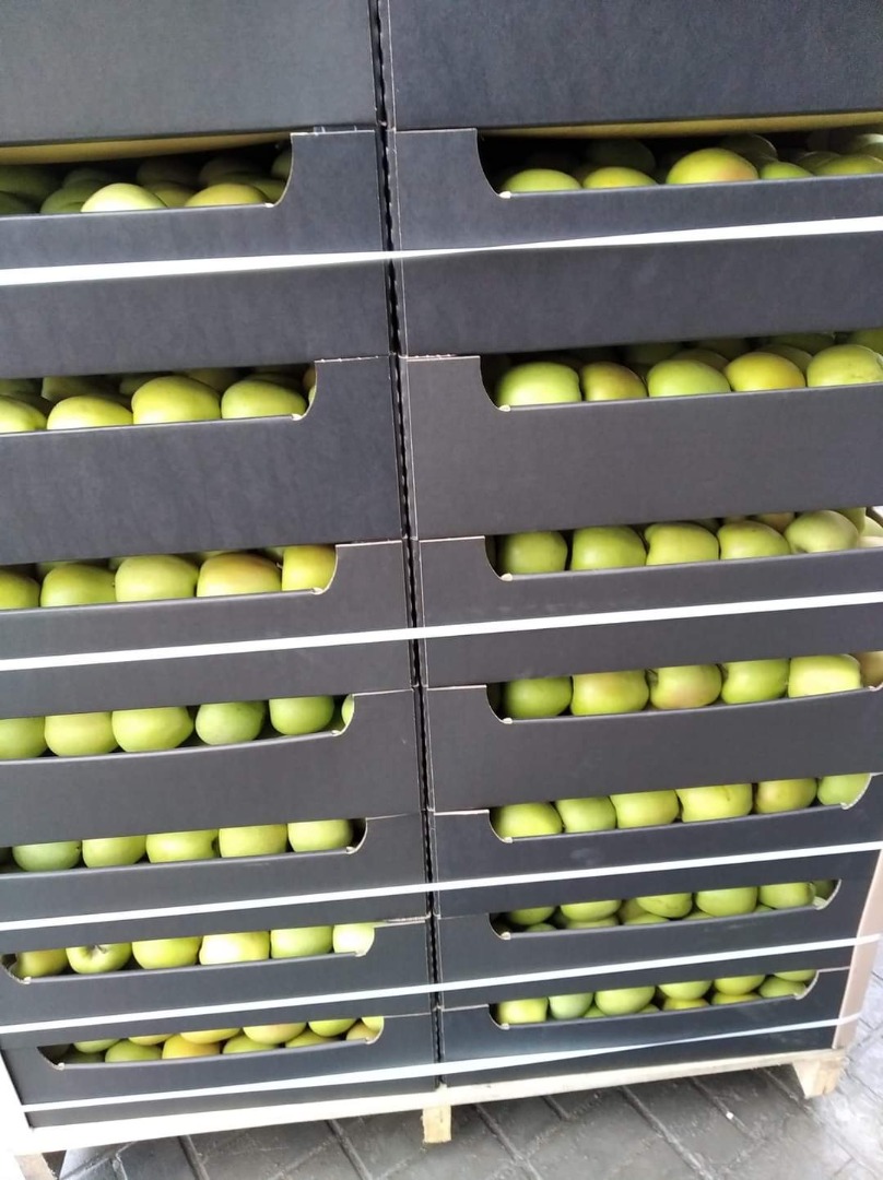 VENDERÉ GRAN CANTIDAD DE MANZANAS VARIEDADES ROJAS JONAPRINCE IDARED EL MEJOR MUTSU GOLDEN DELICIOUS CHAMPION DEPÓSITO PARA CAJAS PALÉS TRANSFERENCIA EN