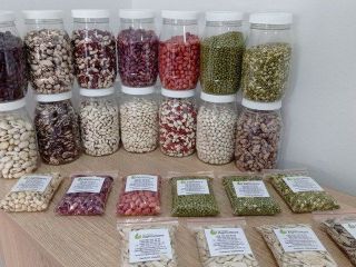 Vendemos Frijoles mungo verdes Frijoles blancos, rojos Frijoles pintos