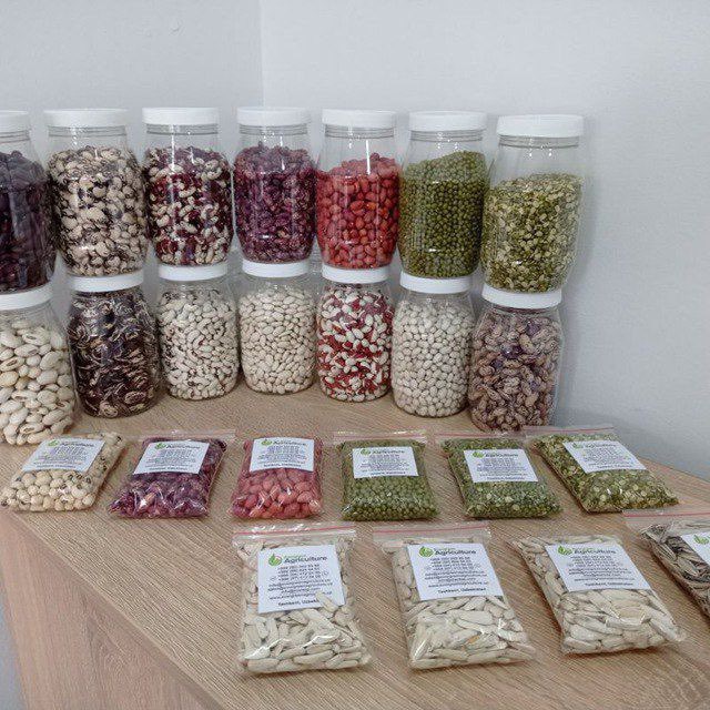 Vendemos Frijoles mungo verdes Frijoles blancos, rojos Frijoles pintos