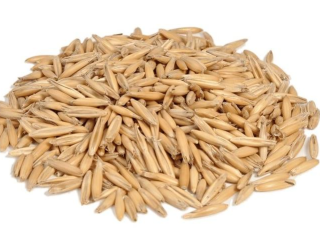 Ofrecemos avena BIO certificada de alta calidad, de la