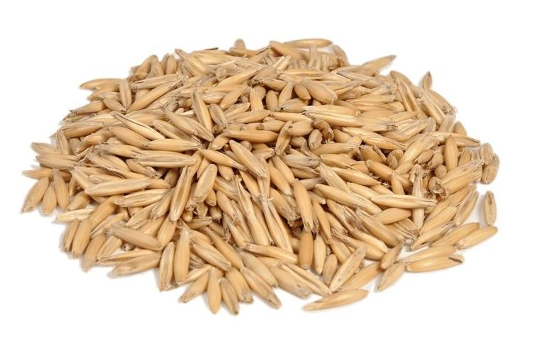 Ofrecemos avena BIO certificada de alta calidad, de la cosecha 2022, la avena está disponible en una cantidad de alrededor de 30 toneladas