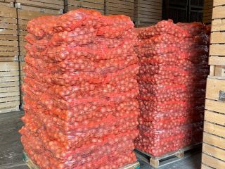 La cebolla está en stock en Alemania. Unas 1000