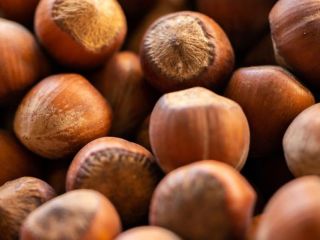 MegAgro LLC es una fábrica de avellanas de propiedad