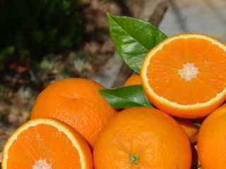 Naranjas Ecológicas de Baleares directamente del agricultor.