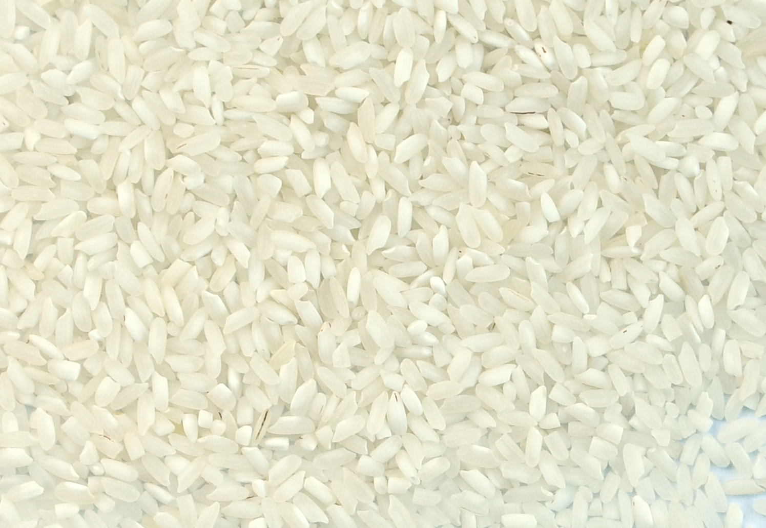 VENDO ARROZ EN BB, posibilidad de sacos de 25kg