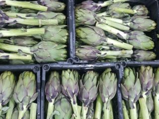 Alcachofa verde fresca de Egipto lista para ser exportada