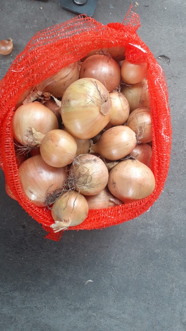 Compro una buena cebolla saludable, 4.5+, cantidades de camiones, en bolsas